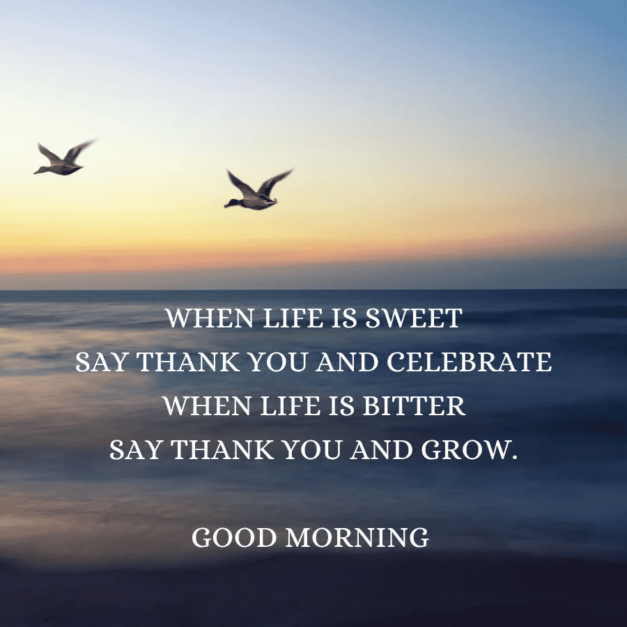 thankful life quote