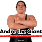 wwe wrestler andre the giant