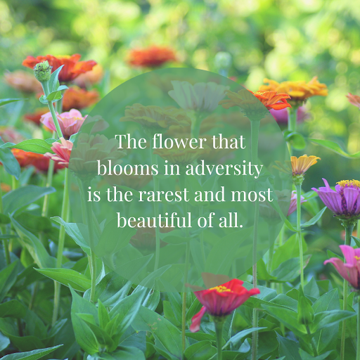beautiful line on life